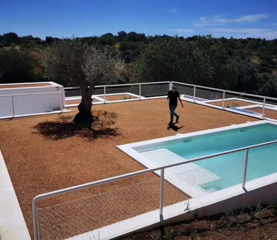 Oliveira e terraço de gravilha junto a piscina nova, sob céu vivo