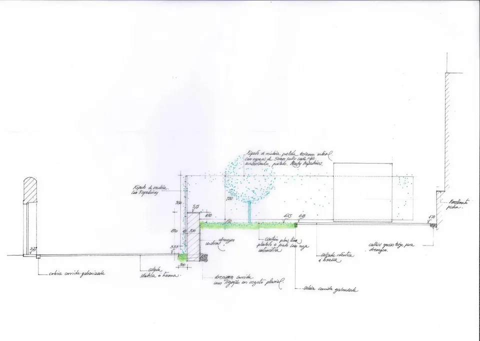 Corte técnico do jardim desenhado à mão, com plantação e drenagem