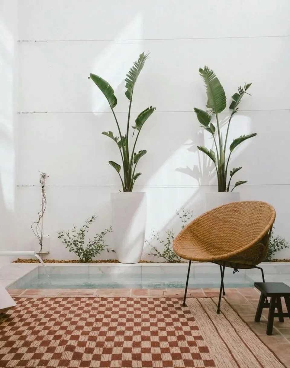 Pátio interior com piscina, estrelícias em vasos brancos e cadeira de vime