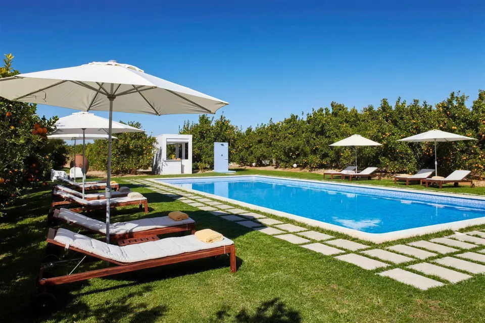 Piscina azul rodeada por laranjal, com espreguiçadeiras e chapéus de sol