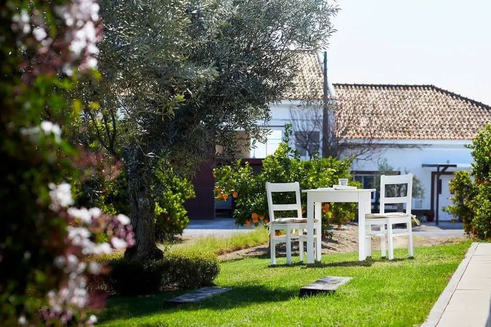 Relvado com oliveira, mesa de bistrô e laranjeiras junto a casa de campo