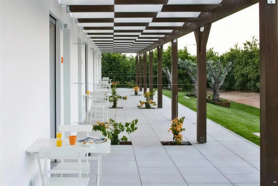 Pérgola de madeira escura com buganvílias e oliveiras