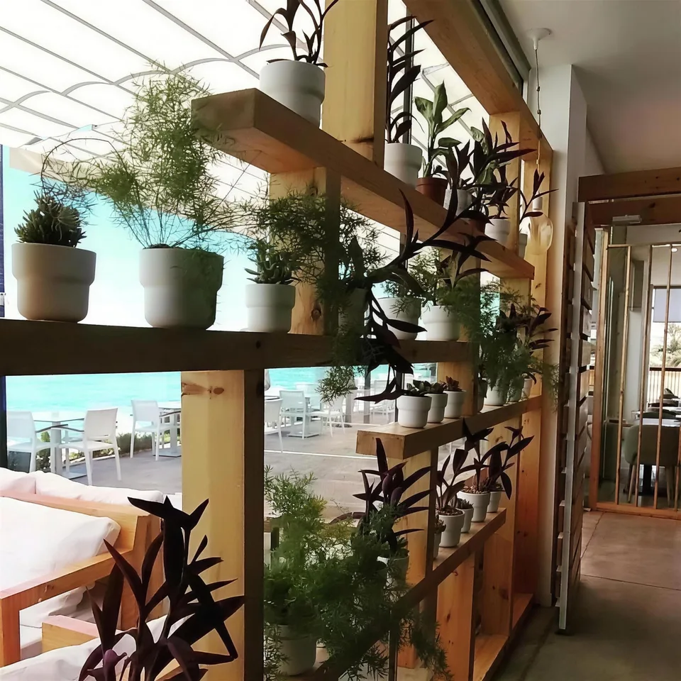 Estante de madeira com plantas envasadas e o mar ao fundo