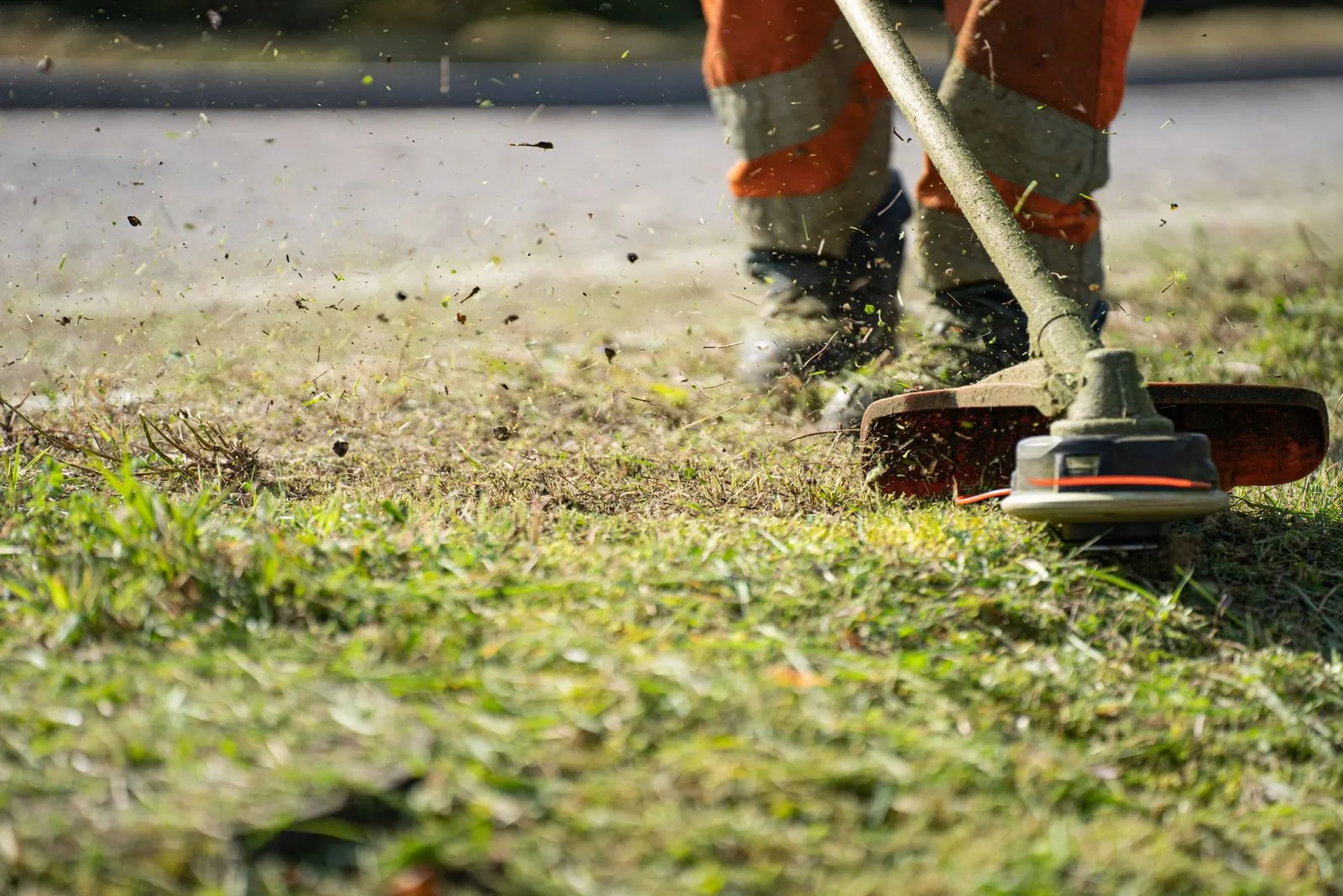 Cabeça de roçadora a cortar erva, com aparas a saltar
