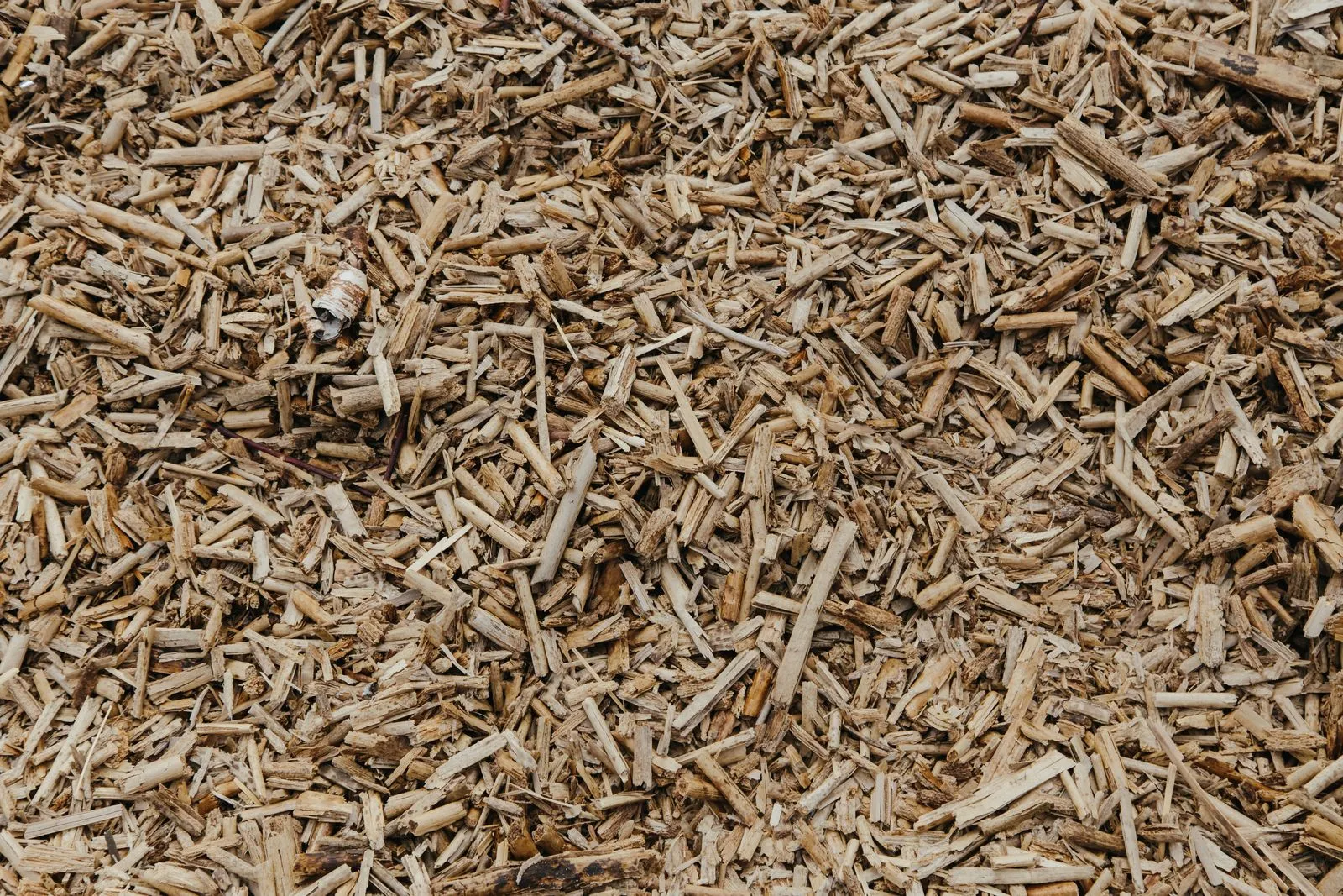 Textura de estilha de madeira acabada de triturar